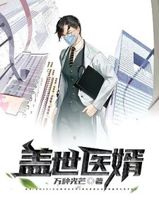 《盖世医婿》