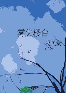 《雾失楼台》