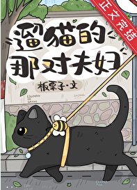 《遛猫的那对夫妇》