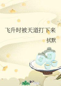 《飞升时被天道打下来》