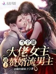 《当全能大佬女主遇上赘婿流男主》