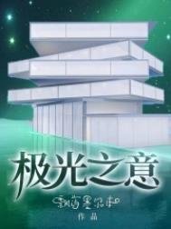 《极光之意》
