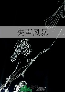 《失声风暴》