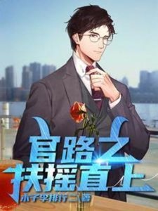 《官路之扶摇直上》