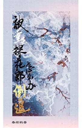 《被重生探花郎倒追怎么办?/繁柚》