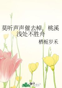 《莫听声声催去棹,桃溪浅处不胜舟》
