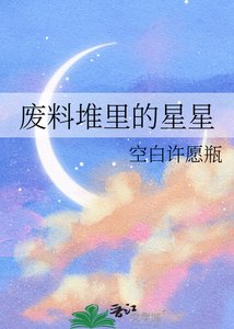 废料堆里的星星
