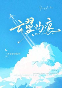 《云翼灼痕》
