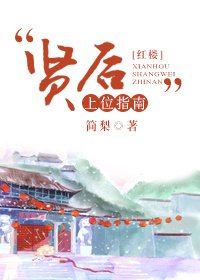 （BG/红楼同人）“贤后”上位指南