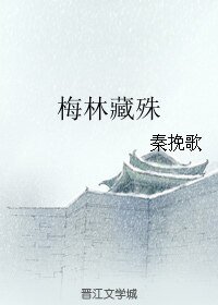 《(琅琊榜同人)梅林藏殊》