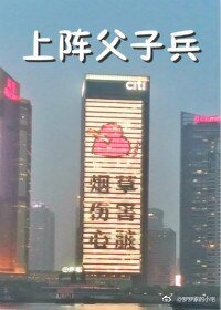 《(BL/全职高手同人)上阵父子兵》